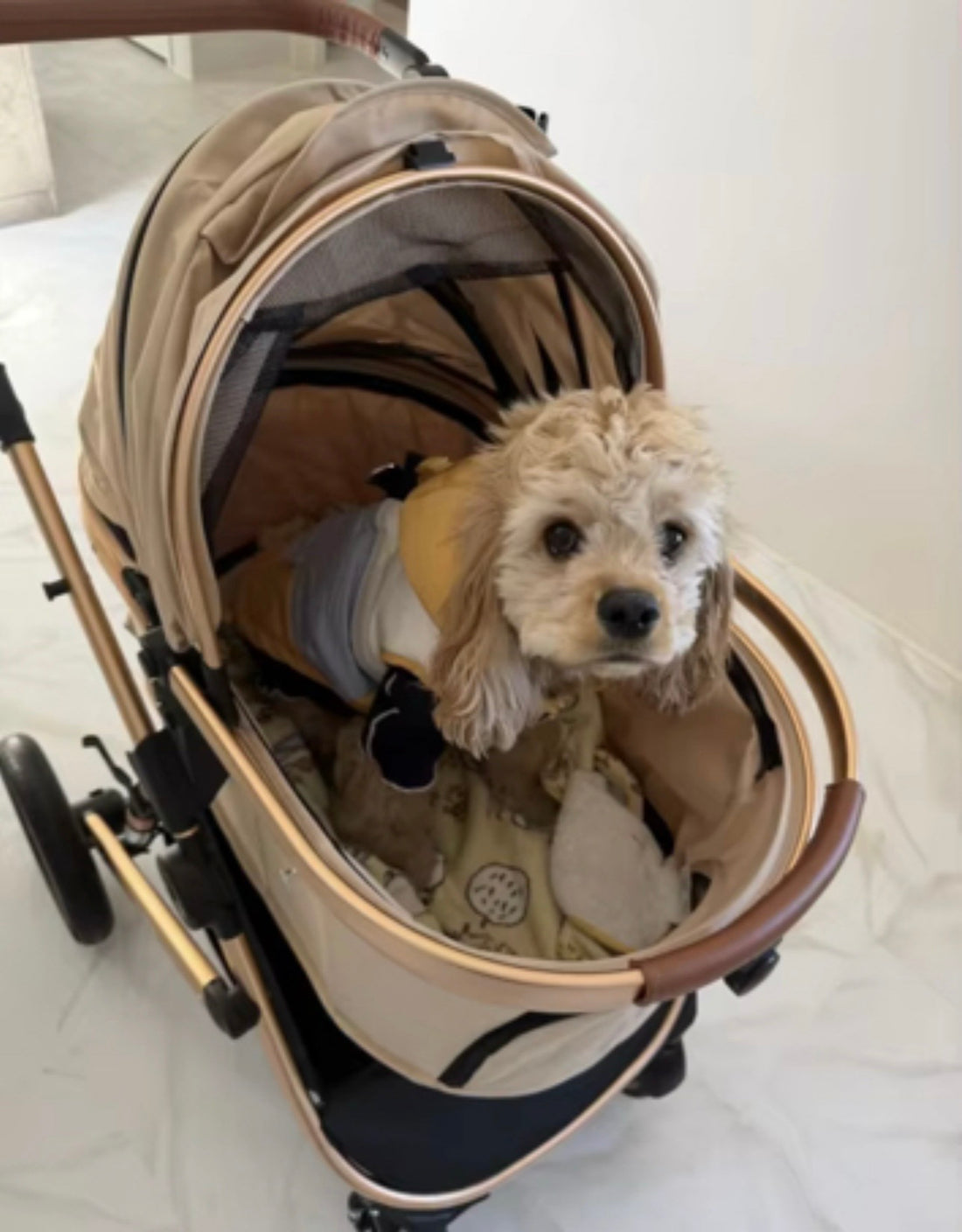 Ultra Pet Stroller  Biege & Rose Gold
