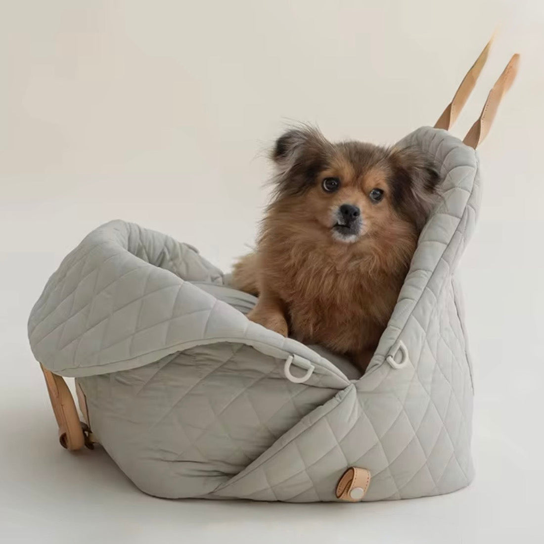 Pet Carrier - Large