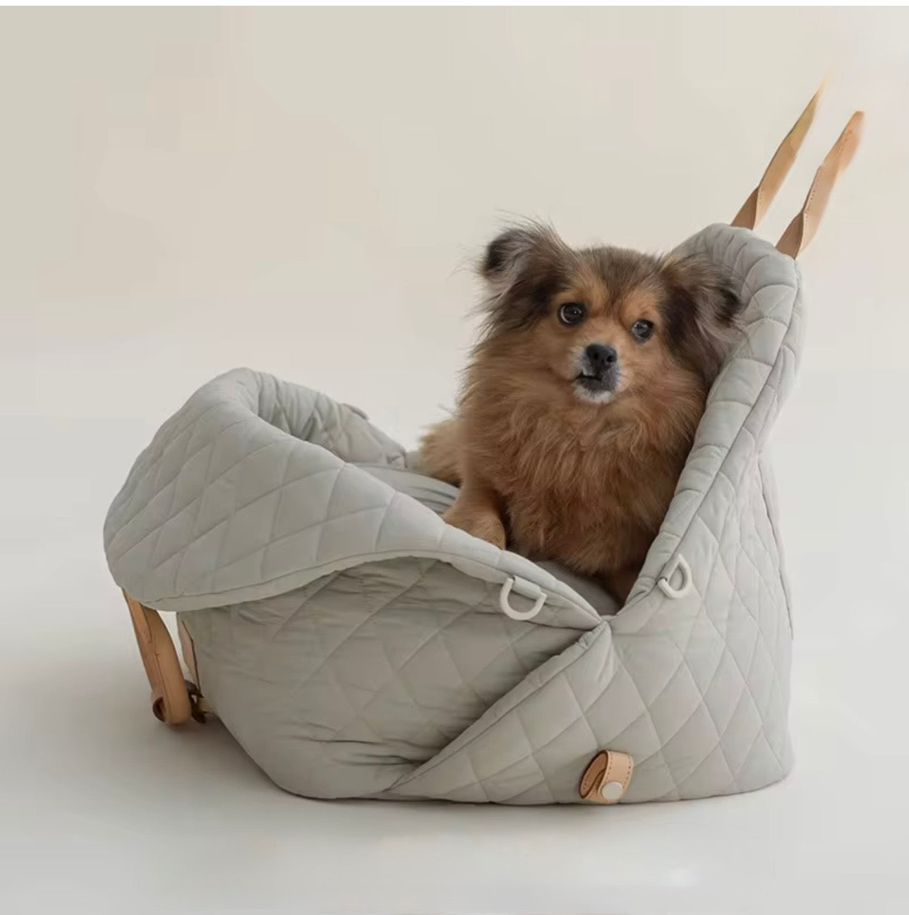Pet Carrier - Large