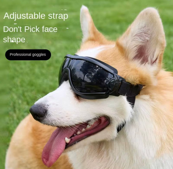 Large Doggles for Dogs Canada FLOOF and Company