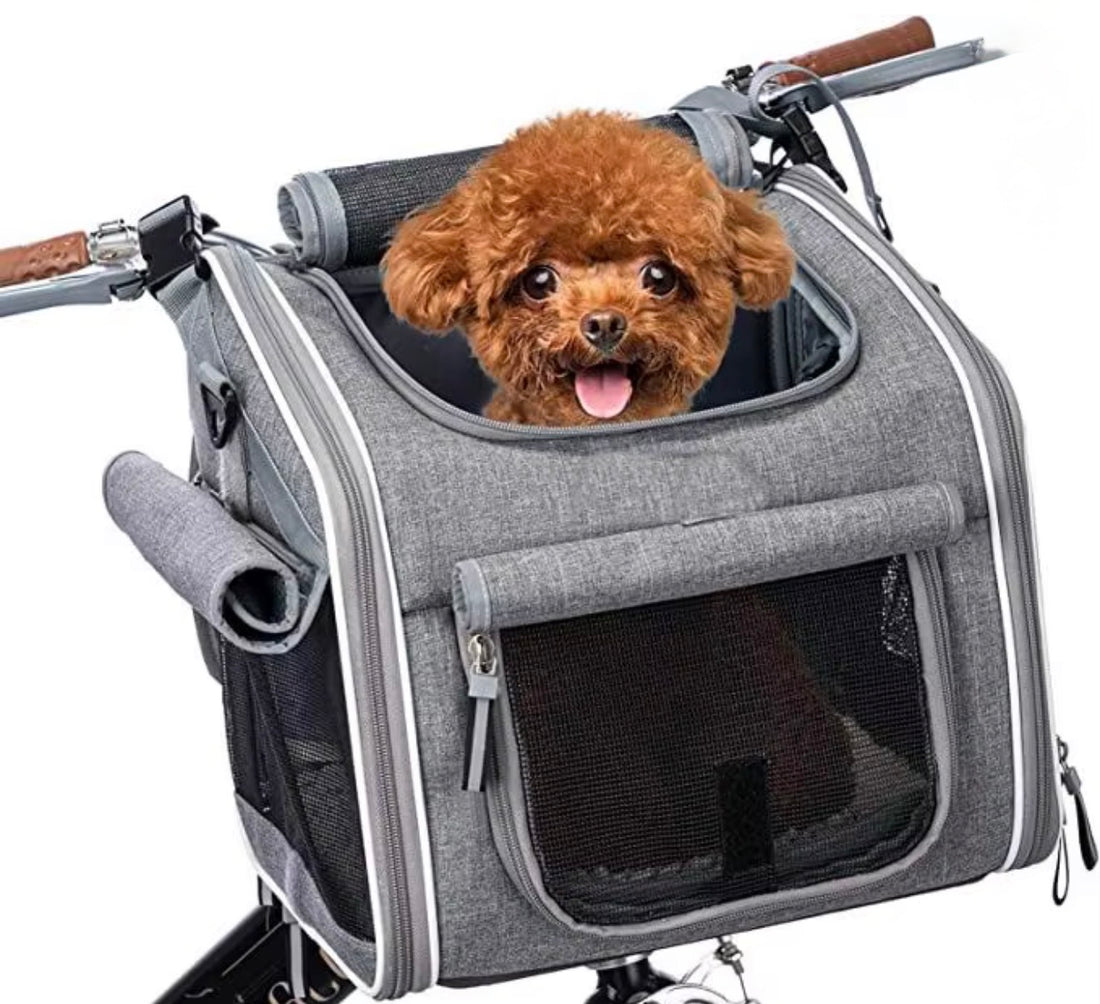 4 in 1 Pet Carrier